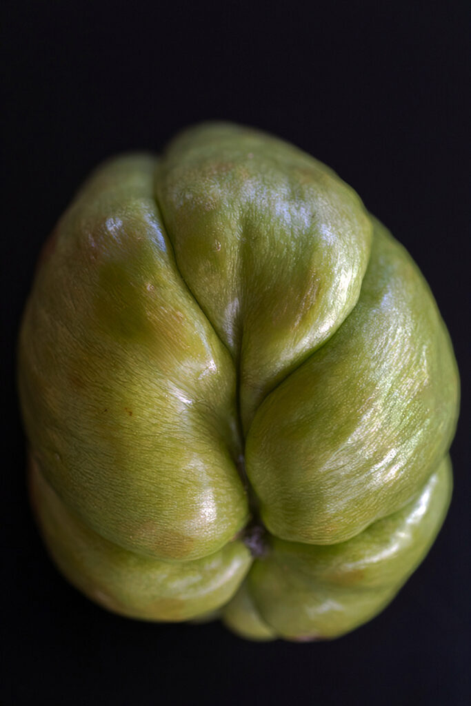 What does chayote look like — pale green chayote squash, a Sonoran borderlands vegetable