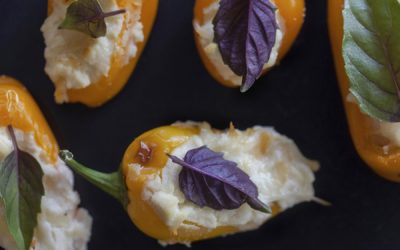 Tiny Sweet Peppers Stuffed with Cheese