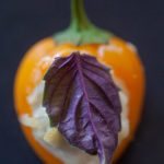 a single mini pepper stuffed with cheese and garnished with a purple basil leaf