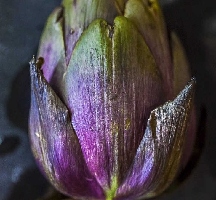 Marinated Baby Artichokes: Italian Style with Lemon and Herbs