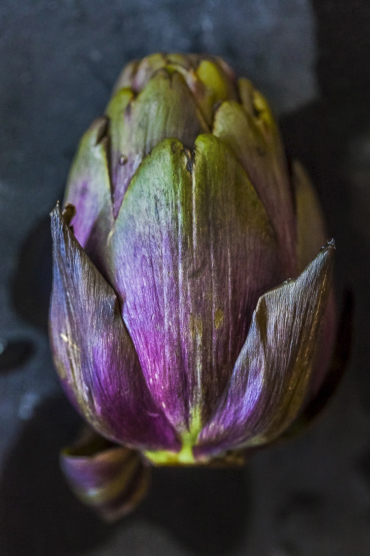 close up detailed photo of a green and purple raw artichoke on a dark background by Jackie alpers