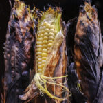The secret to perfectly grilled campfire corn in their husks by The Unofficial Yellowstone Cookbook author Jackie Alpers.