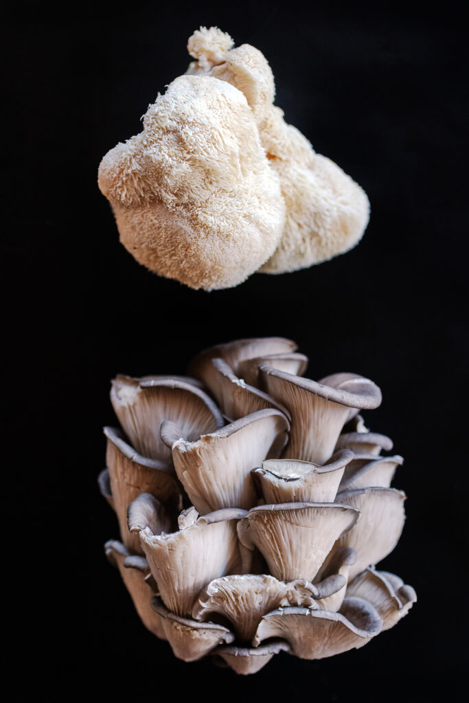 Awarding winning still life vegetable photography of Lion's Mane and Blue Oyster Mushrooms by cookbook author Jackie Alpers of Tortilla Pizza recipe ingredients. Winner of the World food photography Award