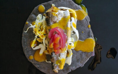 Blue Corn Tacos with Sardines