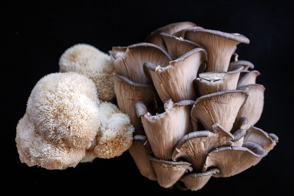 Lion's Mane and Blue Oyster Mushrooms, still life photography by cookbook author Jackie Alpers of Tortilla Pizza recipe ingredients.