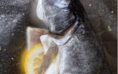 Campfire Grilled Fish Recipe